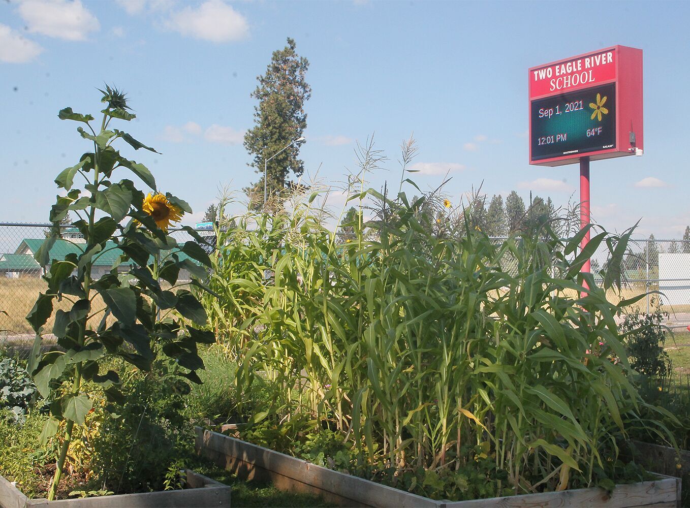 The garden of TERS